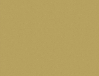 קנט 23X1ממ צהוב חרדל U4438 VL